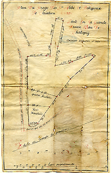 Plan du pré de Clairlieu, ban de Chaligny, 1775.
