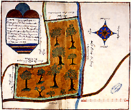 Carte topographique du bois de Méteil, ban d'Atton, 1738.