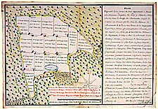 Plan d'un canton de bois appartenant aux chanoines réguliers de Pont-à-Mousson sur le ban de Montauville, 1769.