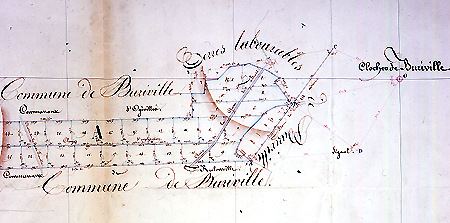 Plan des bois communaux de Buriville (détail), 1837.