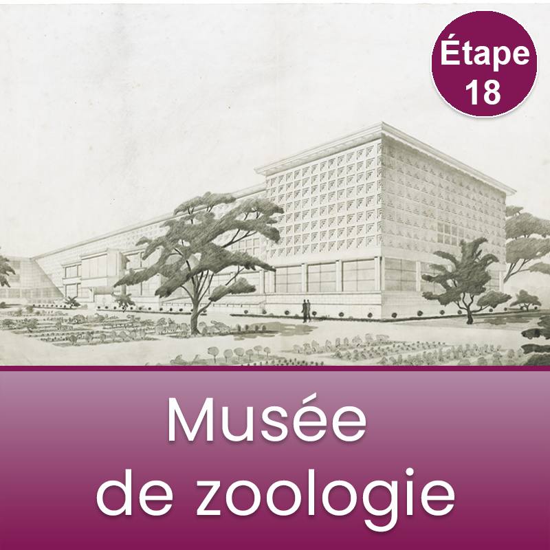 Étape 18